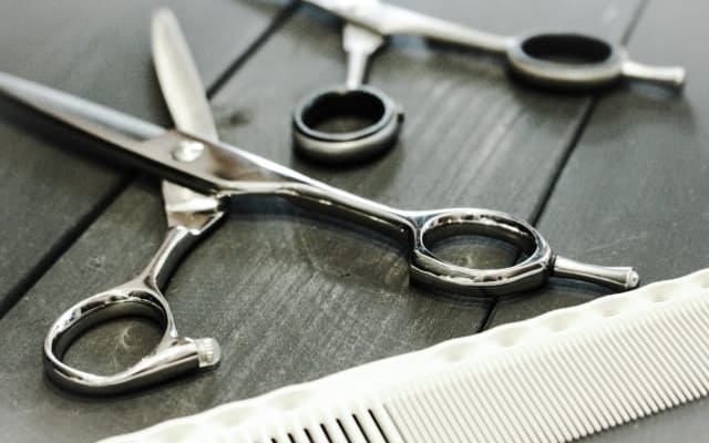 必要資格③その他の学校の卒業など