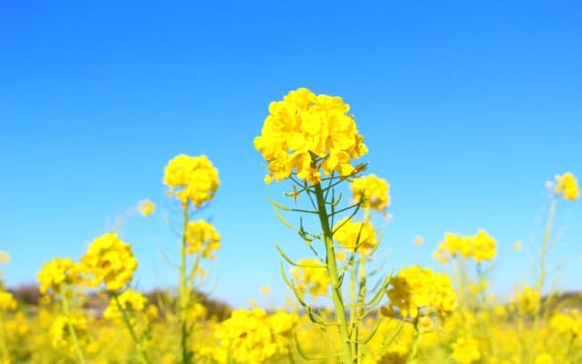 まとめ〜社会人からの大学受験は充分可能です〜