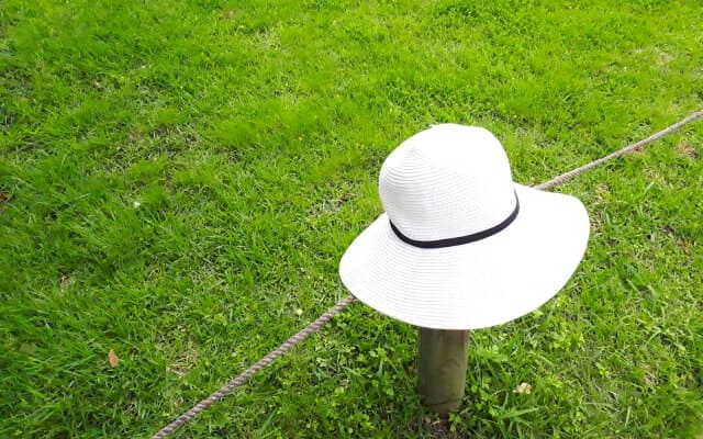 忘れ物や紛失が多い