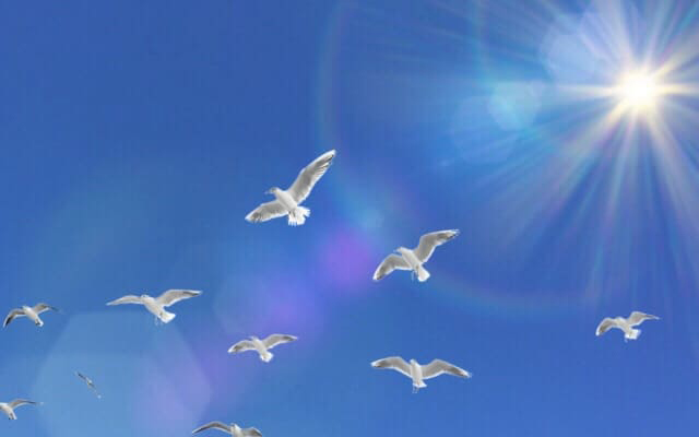 最後に〜お悩みは、あなた一人で抱えなくて大丈夫です〜