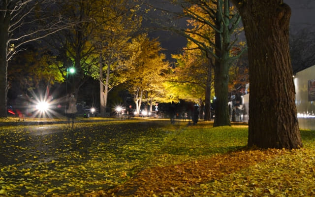 大卒資格の取り方②夜間コース（二部学部）