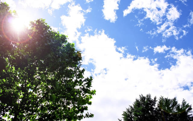 まとめ：不登校は心身のSOS、エネルギーの回復を優先させよう