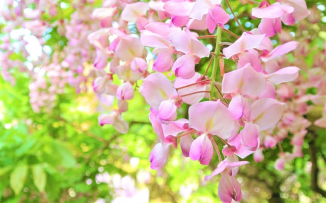 最後に〜勉強を、嫌いものから興味あるものに変えていきましょう〜