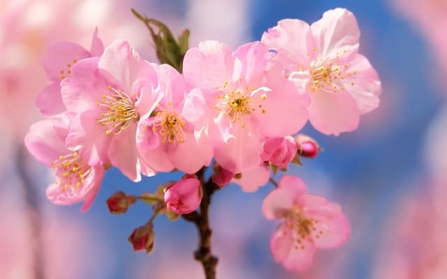 まとめ〜「これまで」と「これから」は違うもの〜