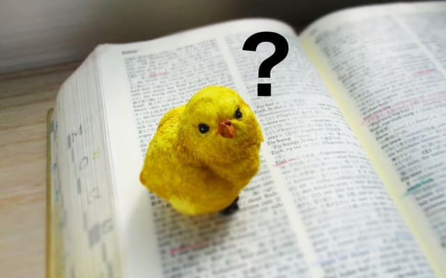 タイプ⑤不登校で勉強から離れている