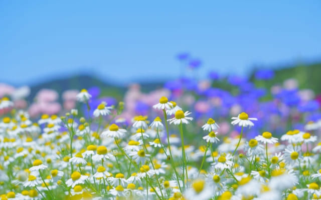まとめ〜お子さんは、「次の一歩」に進めます〜