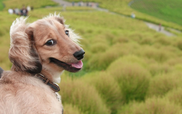 自分の言動を振り返ることが「解決」につながる場合もある