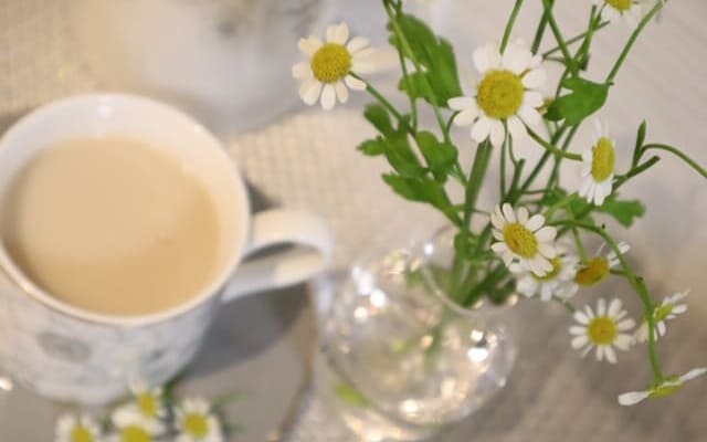 対応⑥他の不登校の親と協力する・不登校親の会で情報を集める