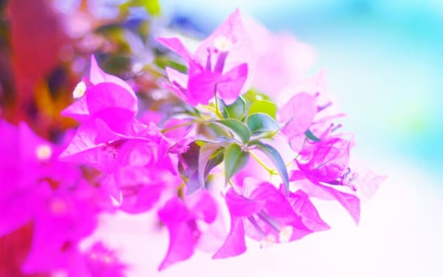 進路⑥ちょっと一休み