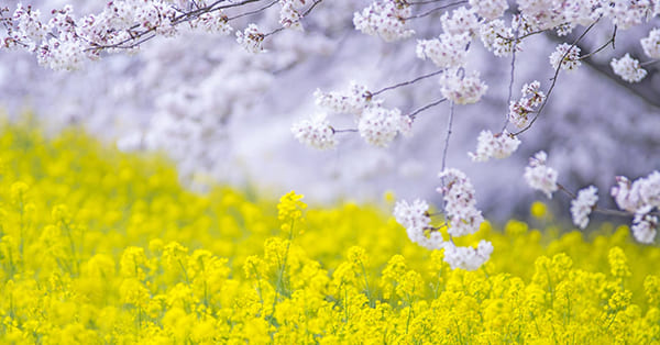 まとめ〜ご自身も大切に、ぜひ支援者と一緒に、お子さんを支えていきましょう〜