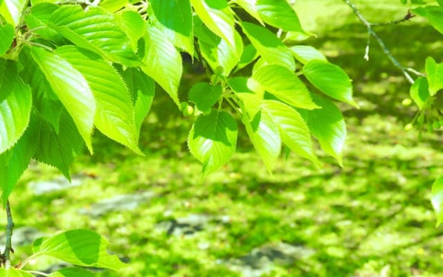 ③専門機関を頼る