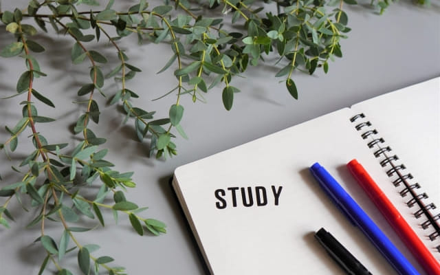 ②今、何か勉強していますか？