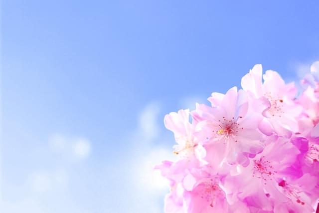 偶然出会った心理学者のおかげでモチベーションアップ。大学に合格し、ニートではなくなる