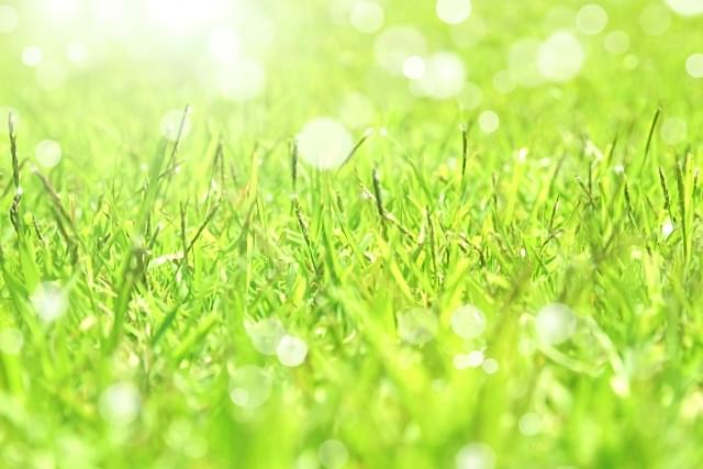 「引きこもりだったからこそできる仕事」があるはずだ