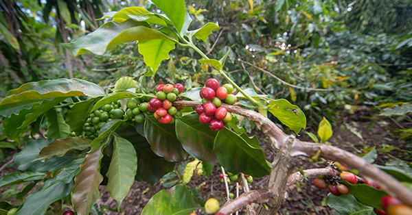 応募の動機〜大学で「貧困を解決するのは教育である」と学ぶ〜