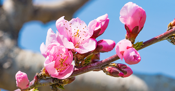 応募を考えている方へ〜迷ったらぜひご応募ください！〜