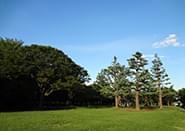 グループ法人のご紹介