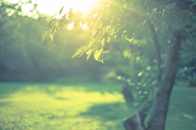 お悩みを抱えるあなたへ