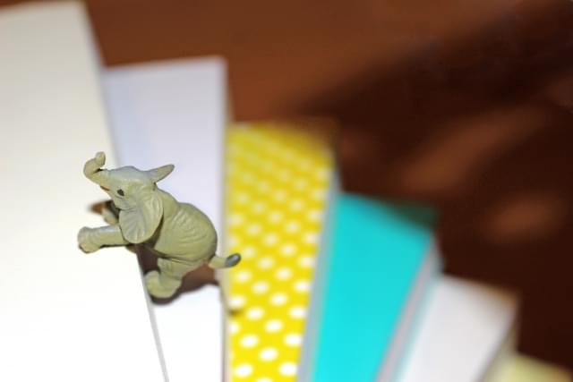 不登校を経験した私たちは、悩みの連続も乗り越えられる