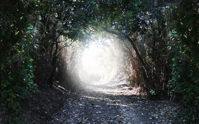 同じような悩みを抱える方へのメッセージ