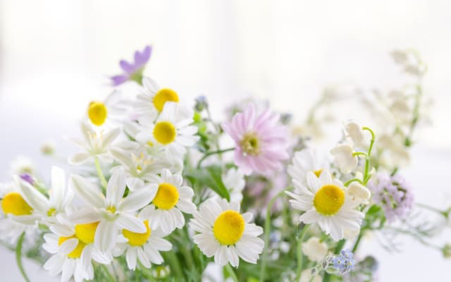 同じようなお子さんを持つ親御さんへのメッセージ