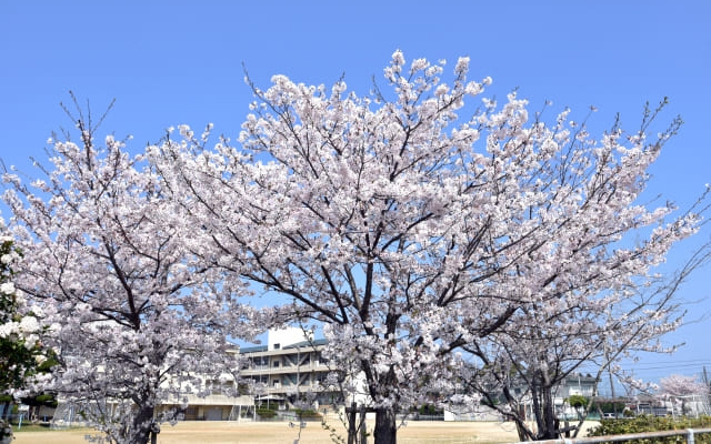 不登校でお悩みの方へのメッセージ