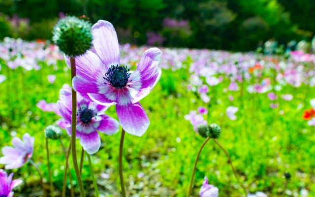 親御さんへのメッセージ