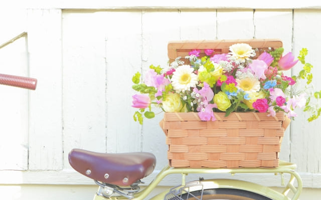 大学受験を目指す社会人の方へ