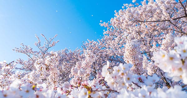 キズキ共育塾では、一歩ずつ再出発していけます