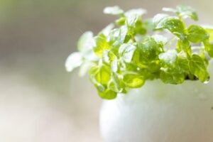 勉強でのつまずきは勉強で取り戻すべき。キズキにはさまざまな出会いが待っている