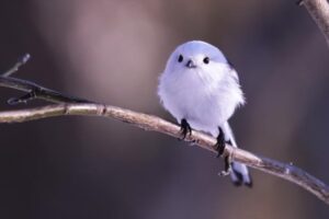 どんな方法が一番いいかはまだ探っている最中だけど、つらさを抱えている人の力になりたい