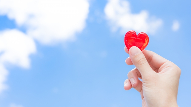 まさかの合格通知！また大学に通うことができる。