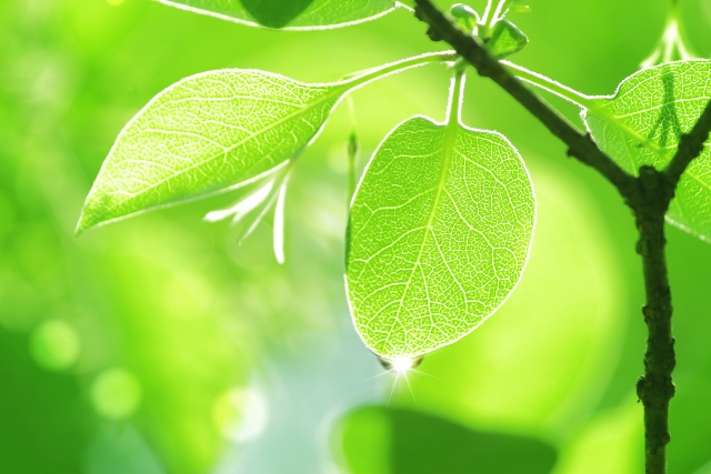 キズキ共育塾なら大丈夫