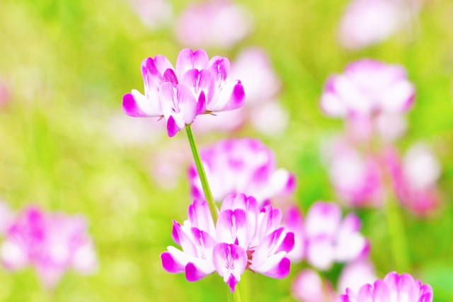 環境を変えることで、自分も変えられる