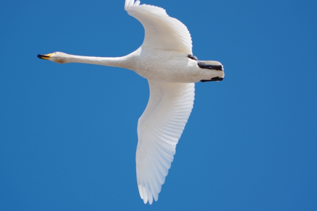 「自分を変えたい」という勇気は想像を超えた未来へと連れて行ってくれる