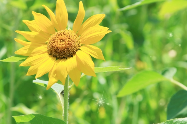 ①不登校への罪悪感を減らすこと