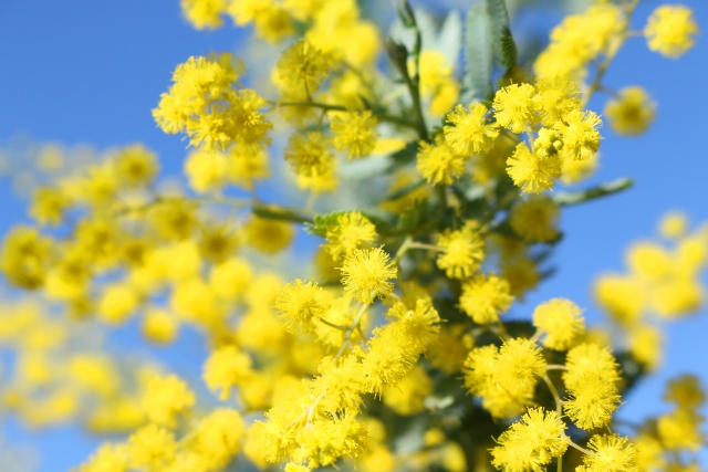 「次」に悩んでいるあなたへ