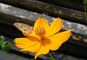 お悩みを抱えるあなたへ