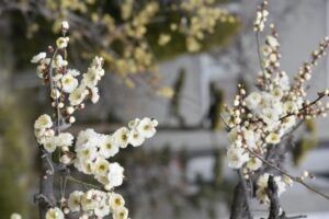 お悩みを抱えるあなたへ