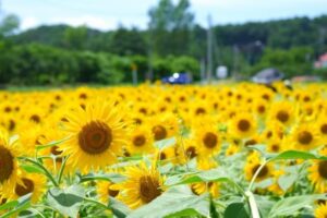 お悩みを抱えるあなたへ