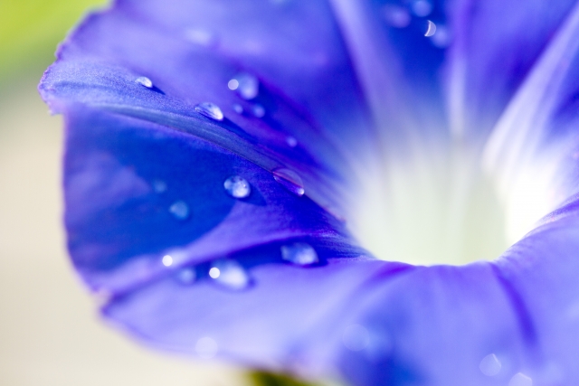 最後に――高校中退について、自分のことを責めないで