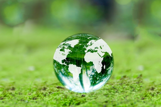 「基礎的読解力」―「論理的に解く力」と「背景知識」