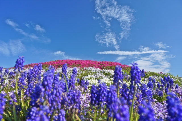 最後に――「引きこもりから再び前に進める」と希望を持ちましょう